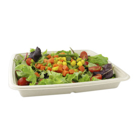 Pojemniki Trzciny Cukrowej 1000ml 230x230x30mm (300 Sztuk)