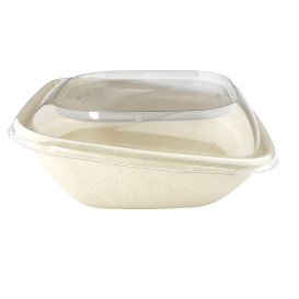 Pojemniki Trzciny Cukrowej "Vision" 750ml 190x190x70mm (300 Sztuk)
