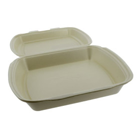 Pojemniki Styropianowe MenuBox 1C. Szampana 240x210x70mm (250 Sztuk)