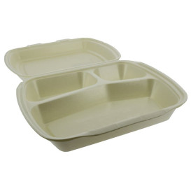 Pojemniki Styropianowe MenuBox 3 C. Szampana 240x210x70mm (250 Sztuk)