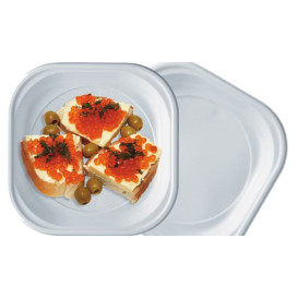 Talerz Plastikowe PS Kwadratowi Białe 200x200mm (1000 Sztuk)
