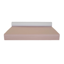 Obrus Papierowy w Rolce Łosoś 1x100m 40g (1 Sztuk)