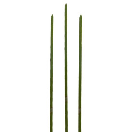 Szpikulce do Mięsa Bambusowe Zielone Naturalne 180mm (200 Sztuk)