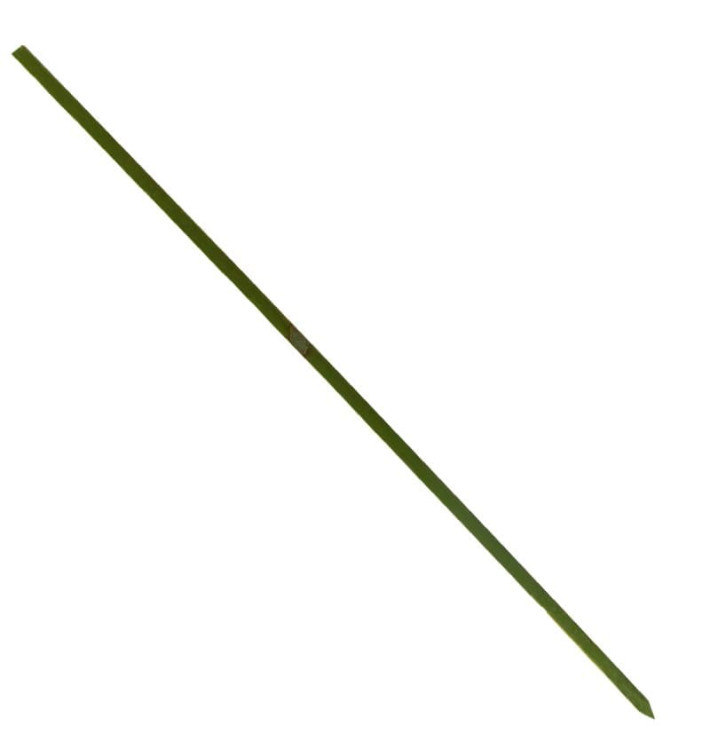 Szpikulce do Mięsa Bambusowe Zielone Naturalne 250mm (5000 Sztuk) Szpikulce do Mięsa Bambusowe Zielone Naturalne 250mm (5000 Sztuk)