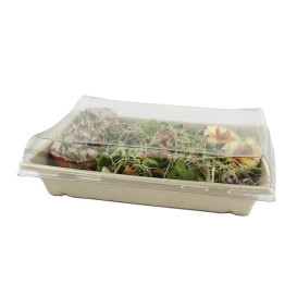 Tacki Trzciny Cukrowej z Pokrywką 750ml 220x160x60mm (15 Sztuk)