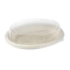 Dekiel Wypukłi Plastikowe PP na Tacki 240x170mm (50 Sztuk)