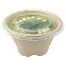 Miski Trzciny Cukrowej 375ml Ø13cm (1000 Sztuk)