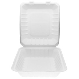 Opakowania MenuBox Trzciny Cukrowej Białe 20x20x7,5cm (50 Sztuk)