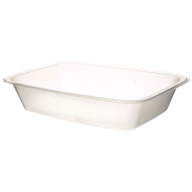 Tacki Zamykane na Gorąco PP GS 1/8 154x110x35mm (50 Sztuk)