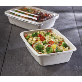 Pojemniki Trzciny Cukrowej 1050ml 230x165x60mm (75 Sztuk)
