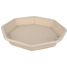 Pojemniki Trzciny Cukrowej 830ml 230x230x30mm (50 Sztuk)