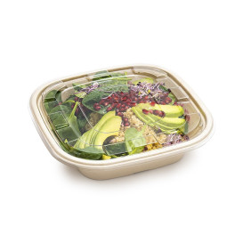 Miski Trzciny Cukrowej Kwadratowi Naturalne 2250ml 27cm (50 Sztuk)