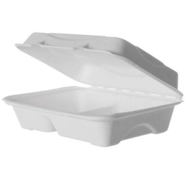 Sugarcane Hinged Container White 2C 23x15x7,5cm (250 Units)
