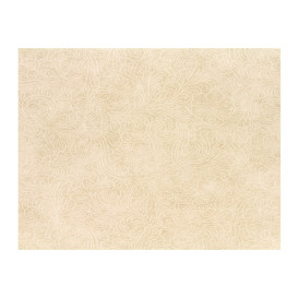 Podkładki na Stół TNT Plus Beżowy 30x40cm 60g (500 Sztuk)