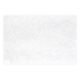 Podkładki na Stół TNT Plus Białe 30x40cm 60g (500 Sztuk)