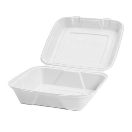 Sugarcane Hinged Container "Menu Box" White 20x20x7,5cm (50 Units)