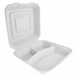 Sugarcane Hinged Container "Menu Box" White 20x20x7,5cm (50 Units)