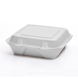 Sugarcane Hinged Container "Menu Box" White 20x20x7,5cm (50 Units)