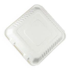 Sugarcane Hinged Container + PLA White 23x23x7,5cm (200 Units)