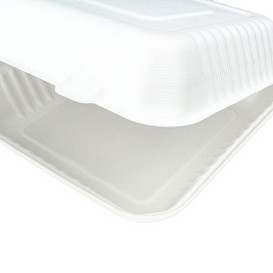 Sugarcane Hinged Container + PLA White 23x23x7,5cm (200 Units)