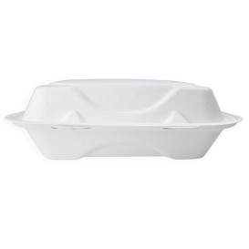 Pojemniki Zawiasie Trzciny Cukrowej 3C 23x23x7,5cm (50 Sztuk)