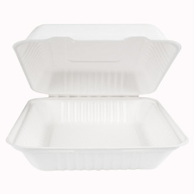 Sugarcane Hinged Container + PLA White 23x23x7,5cm (200 Units)
