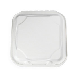 Pojemniki Zawiasie Trzciny Cukrowej 3C 23x23x7,5cm (50 Sztuk)