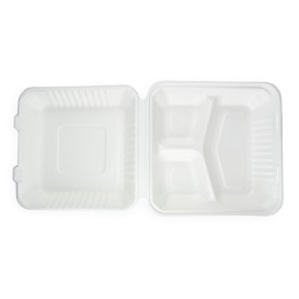 Sugarcane Hinged Container + PLA White 3C 23x23x7,5cm (200 Units)