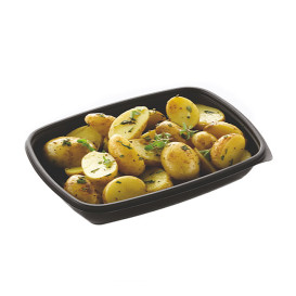 Pojemniki Plastikowe PP Czarni 600ml 23x16,5cm (300 Sztuk)