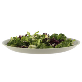 Talerz Plastikowe Płaski Białe Round PP Ø185mm (6 Sztuk)