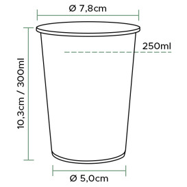 Kubki PLA Bio Przezroczyste 299ml Ø78mm (2000 Sztuk)