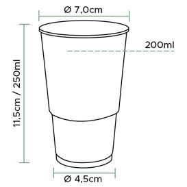 Kubki Plastikowe PP Przezroczyste 250ml (100 Sztuk)