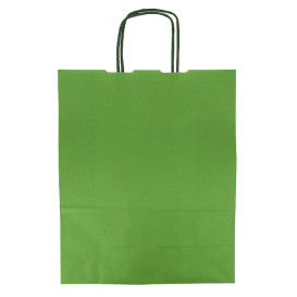 Torby Papierowe Zielone z Uchwytami 100g/m² 25+11x31cm (25 Sztuk)