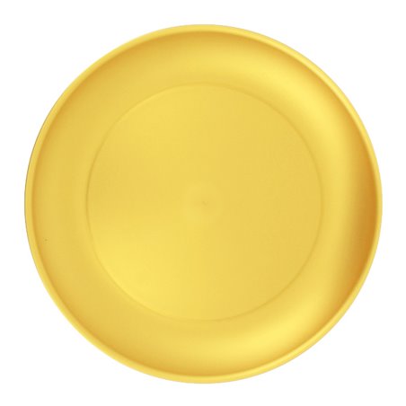 Talerz Plastikowy Płaski Złoty Durable PP Minerał Ø23,5cm (6 Sztuk)
