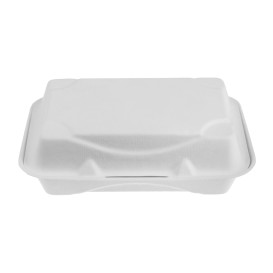 Sugarcane Hinged Container White 23x15x7,5cm (250 Units)