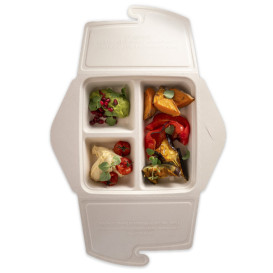 Opakowania MenuBox Trzciny Cukrowej 3C 21x21x4cm 900ml (100 Sztuk)