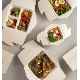 Opakowania MenuBox Trzciny Cukrowej 3C 21x21x4cm 900ml (100 Sztuk)