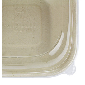 Pojemniki Trzciny Cukrowej z Pokrywką 750ml 190x190x80mm (15 Sztuk)