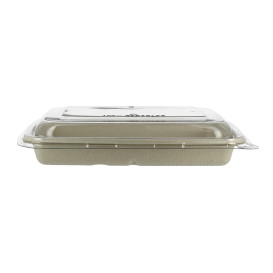 Pojemniki Trzciny Cukrowej z Pokrywką 600ml 230x160x50mm (15 Sztuk)