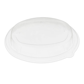 Dekiel Wypukłi Plastikowe PP na Tacki 240x170mm (50 Sztuk)