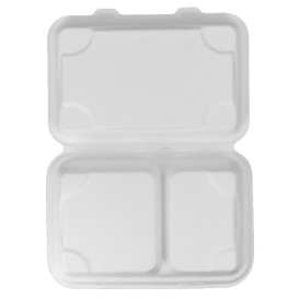 Sugarcane Hinged Container White 2C 23x15x7,5cm (250 Units)
