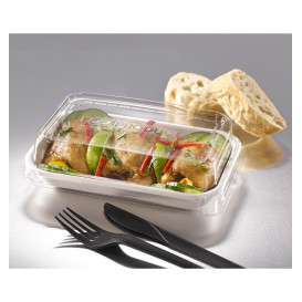 Pojemniki Ekologiczne Białe 355ml 18,0x12,0x2,7 cm (50 Sztuk)