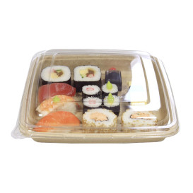 Pojemniki Trzciny Cukrowej 1000ml 230x230x30mm (300 Sztuk)