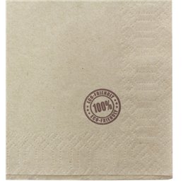 Serwetki Papierowe Eco "Recycled" 33x33cm 1C (4.800 Sztuk)