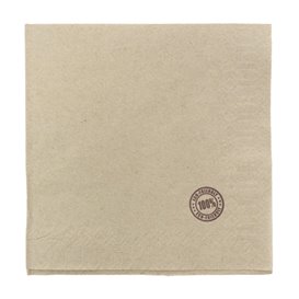 Serwetki Papierowe Eco "Recycled" 33x33cm 1C (4.800 Sztuk)