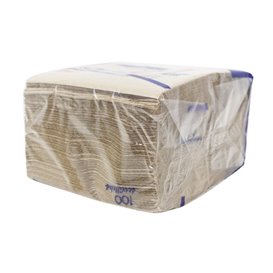 Serwetki Papierowe Eco "Recycled" 33x33cm 1C (100 Sztuk)