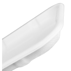Taca na Trzcinę Cukrową 14,1x14,1cm (50 Sztuk) 