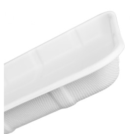 Taca na Trzcinę Cukrową 24,2x18,3cm (50 Sztuk) 