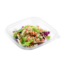 Miski Plastikowe PET 750ml 175x175x50mm (50 Sztuk)