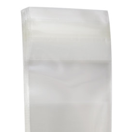 Torby Plastikowe Biorientacja z Warstwą Klejącą 4x6 cm G-160 (100 Sztuk)